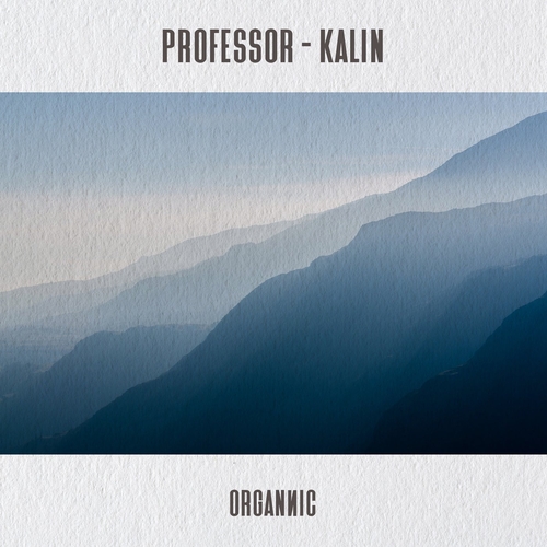 Professor - Kalin [ORGN04]